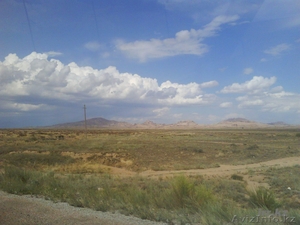 Крестьянское хозяество трасса Балхаш - Караганда #444341