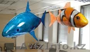 Airswimmers Almaty #452405