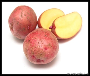 Продам картофель 