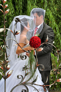 Профессиональная фотосъемка. Все виды. #435920