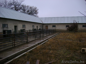 продам дом+ферма #447442