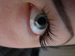 Норковые ресницы-4000тг #451139