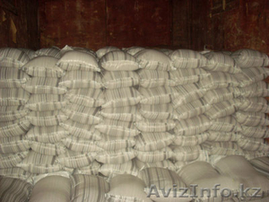 Отгружаем ракушку морскую кормовую! #429533