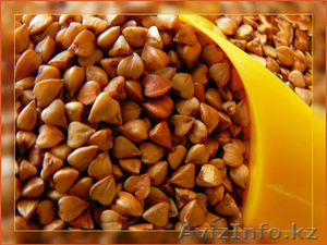 Торговая компания ТОО НУР-БАРАКА #454192