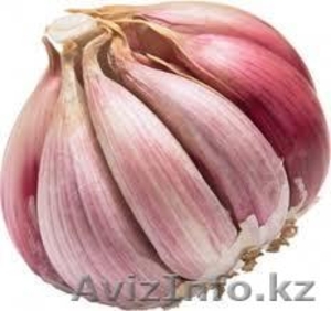 Чеснок свежий, иссыккульский, фиолетовый и белый, сорт 