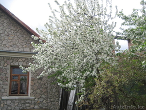 Особняк в центре города #425881