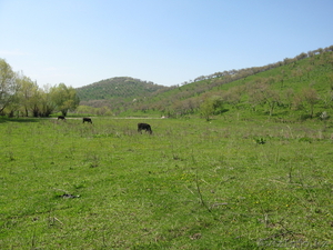 РАЙСКИЙ УГОЛОК ДЛЯ ЖИЗНИ #432892