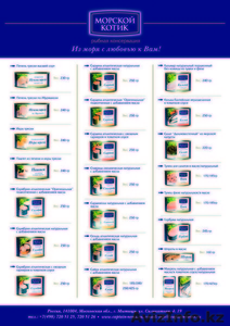 ООО Капитан Немо #447980