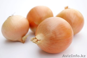 Лук репчатый хороший #442409