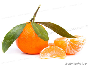 Продаем мандарины из Грузии  урожай 2011 года #450135