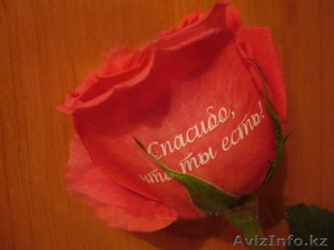 Говорящие цветы #476133