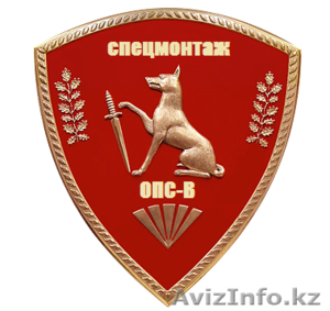 ИП СпецМонтаж ОПС-В #478167