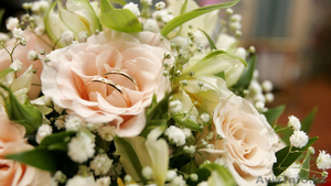 foto video professional'no #470418