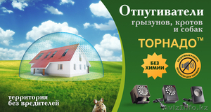 {УЛЬТРАСОНИК  ультразвук} #473467