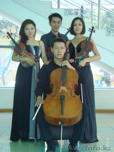 Струнный квартет. Живая музыка #470469