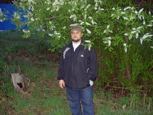 фото-видеосъемка  #463171