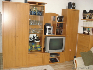 Горка цвет ольха  #471505