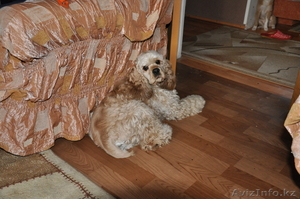 borbossonik_1996@mail.ru #479917