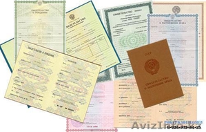 БИН присвоение БИН ТОО АО юридическим лицам филиалам и представительствам Алматы #482248