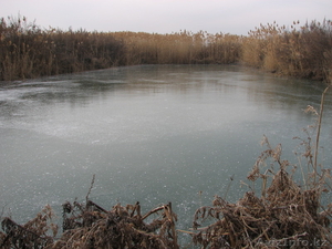 Продам Участок недорог и выгодно,  село Маловодное #469024