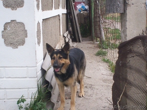 74 Татьяна 25  вильма 1974  #470618