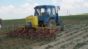 Культиватор–опрыскиватель универсальный КОУ-4/6 #460253