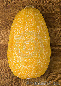 Продам тыкву сплошную  #464698