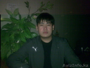 Услуги программиста!!! #491626