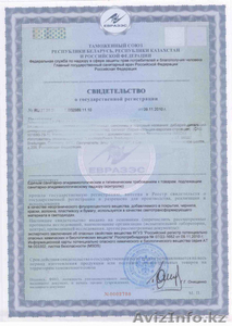 Учетная регистрация филиалов и представительств #488050