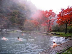  веселый оздоровительный отдых #508457