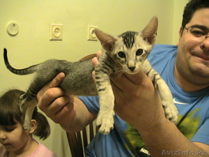 г. Астан магазин встреча #499428