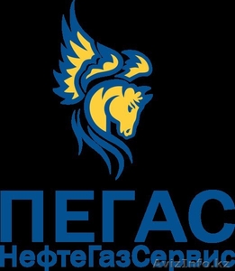 ТОО Пегас НефтеГазСервис #486060