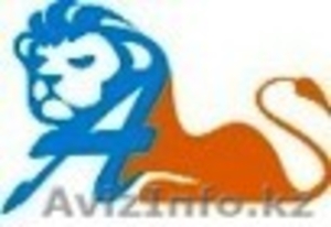 Переводы Астана     #495018