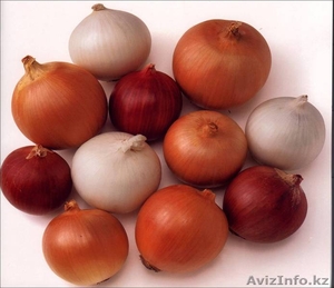 Семена,  удобрения,  суперабсорбент #499841