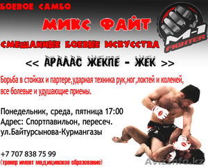 Аралас жекпе-жек #501680