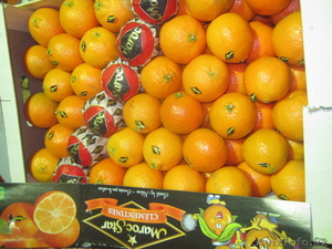 Мандарин Марокко Нур #449544