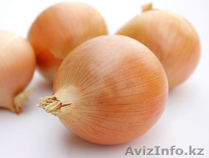 лук репчатый. Сорт Голандский. 100 тонн #511131
