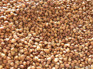 ТОРГОВО-ПРОМЫШЛЕННАЯ КОМПАНИЯ 