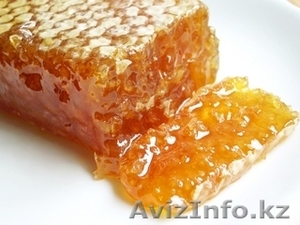 Меед. Своя пасека. #518765