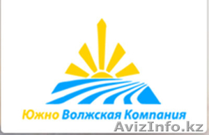 Продаем соленую,  слабосоленую морскую рыбу оптом #498901
