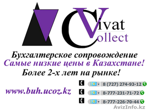 ТОО Vivat Collect #485341