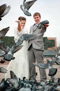 Свадебный Фотограф Караганда #535617