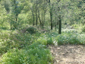 медеуский район #536551