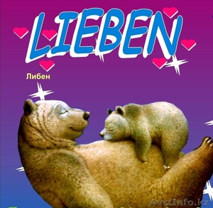 ИП Чернятевич Е.Ф. ОДТ 