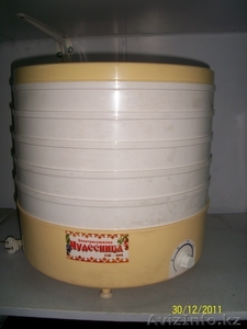 Сушилка электрическая для пищевых продуктов #522706