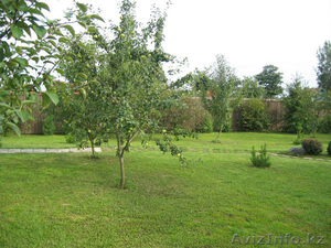 Оценка земельного участка #591075