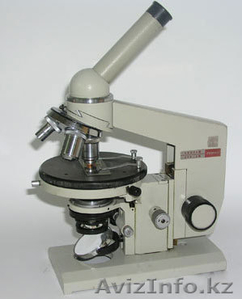 куплю лабораторию по шерсти #602226