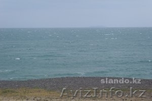 Alakol -Koktuma #602211