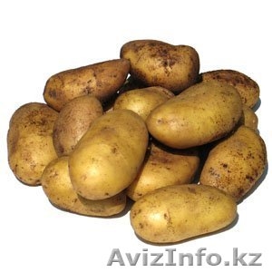 картофель #604437