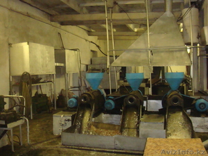 База производственная г.Семей #585711